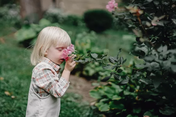 Sense of smell