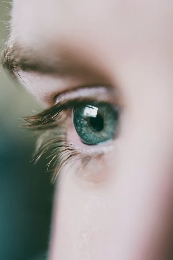 Vision